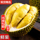 源外泰國進(jìn)口金枕榴蓮老樹果 當(dāng)季新鮮整個(gè)帶殼報(bào)恩水果熱帶水果鮮果 凈重3-4斤1個(gè)（包3-5房）