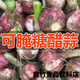 2024年現(xiàn)挖鮮蒜頭新鮮大蒜紫皮裝濕大蒜 腌糖蒜 帶箱 1500g 24年新鮮大蒜大果