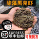 逸樂寵黑殼蝦草缸清潔蝦烏龜龍魚飼料除藻蝦觀賞蝦工具蝦草蝦活體蝦米蝦 黑殼蝦100只+100防損 發(fā)順豐