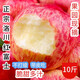 正宗陜西紅富士蘋果水果新鮮應(yīng)當(dāng)季整箱洛川冰糖心一級(jí)脆甜丑10斤 彩箱5斤中果75-80mm