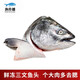 漁傳播 冰凍去腮三文魚魚頭(大西洋鮭魚)350-450g*3個 火鍋燒烤食材魚類