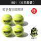天龍網(wǎng)球訓練球801603 復活X-ace初學(xué)專(zhuān)業(yè)高級比賽體育課訓練球 801六個(gè)（贈網(wǎng)袋）