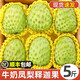 采緹（CAITI）廣東釋迦果新鮮番荔枝大果佛頭果林檎釋迦摩尼果新鮮熱帶水果整箱 一斤中果（2-3個(gè)）