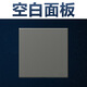 西蒙西蒙開(kāi)關(guān)插座C60熒光灰色86型暗裝家用一站購(gòu)齊清單報(bào)價(jià) 空白面板