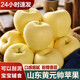 譯優(yōu)農山東煙臺黃元帥蘋(píng)果新鮮當季水果粉面沙甜黃香蕉黃金蘋(píng)果 【帶箱9.5-10斤大果】精品