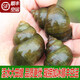 團魚(yú)洲湖北新鮮特大田螺鮮活大個(gè)清水新鮮泥螺田螺 現撈活水螺4斤裝