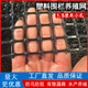 速譽(yù) SIORLYURE小孔塑料網(wǎng)養殖網(wǎng)1.5厘米網(wǎng)孔養雞護欄網(wǎng)鴨鵝育雛漏糞腳墊網(wǎng)圍欄 1.0米高1.5厘米孔50米長(cháng)1.5厚 重量20斤/卷