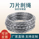 金蝎 熱鍍鋅刀片刺繩防護(hù)網(wǎng)刺絲滾籠帶刺鐵絲網(wǎng)V型支架防盜防爬刺繩網(wǎng) 高鋅30cm*單螺旋*10米