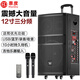 惠度（HuiDu）NB-700L專業(yè)戶外三分頻大功率演出多功能娛樂音箱移動便攜式廣場舞室內(nèi)室外拉桿電瓶音響 12吋拉桿電瓶音響/NB-800L