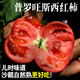 土地母親計(jì)劃 陜西涇陽(yáng)普羅旺斯西紅柿 生吃西紅柿沙瓤番茄水果生鮮 凈重 4.5斤 中果13-16個(gè) 經(jīng)濟(jì)實(shí)惠