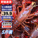 榕毅鮮生小龍蝦鮮活新鮮活蝦五斤789錢(qián)大號淡水清水龍蝦精養塘免洗蝦淡水 【4-6錢(qián)小蝦】產(chǎn)地直發(fā)