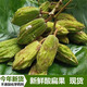 云南特產(chǎn)野生新鮮酸扁果5斤酸爽現摘當季酸果子毛車(chē)藤酸果藤果 300g裝送辣椒面