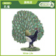 COLLECTA英國CollectA我你他仿真野生鳥(niǎo)類(lèi)動(dòng)物模型玩具兒童認知88209孔雀