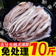新鮮魷魚(yú)須鮮活冷凍二本足生鮮尤魚(yú)鐵板魷魚(yú)串腿海鮮商用批發(fā) 【嚴(yán)選品質(zhì)】 已去牙去眼 500g(凈重)  3斤裝