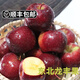 顏曼箐東北龍豐果小蘋(píng)果新鮮當季孕婦水果酸甜果紅果順豐 60mm以下 3斤 珍珠棉獨立包裝 順豐