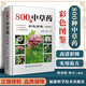 800種中草藥彩色圖鑒(精選版) 中藥材大百科本草綱目彩色圖鑒 中醫(yī)入門(mén)初學(xué)者常見(jiàn)中草藥識(shí)別中醫(yī)養(yǎng)生