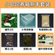 寵以沫寵物白玉蝸牛活體巨型大蝸牛寵物觀賞學(xué)生科學(xué)實驗教學(xué)小蝸牛套裝 小飼養(yǎng)箱新手套裝2只蝸牛