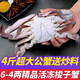 鮨京【漁港直發(fā)】梭子蟹鮮活冷凍螃蟹新鮮肉母蟹飛蟹白蟹海鮮水產(chǎn) 【大公4斤】梭子蟹(約6~11只)