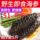 皇家麒麟大連即食海參單個(gè)裝500g/袋深海米刺參 實(shí)惠款共5斤（3-7只/斤）
