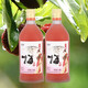 貴妮青梅酒楊梅酒藍莓酒青梅之釀楊梅之釀藍莓之釀果酒 楊梅*2