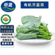 聽蔬有機(jī)芥藍(lán)菜3斤五斤 芥蘭新鮮有機(jī)認(rèn)證蔬菜 現(xiàn)摘現(xiàn)發(fā) 無農(nóng)殘無激素 3斤裝