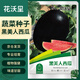花沃里黑美人西瓜種50粒 蔬菜種子陽(yáng)臺(tái)花盆西瓜盆栽種菜土庭院田間種植