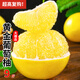 源外福建黃金葡萄柚 爆汁葡萄黃金柚 西柚新鮮甜多汁水果生鮮 8-9斤優(yōu)選中果