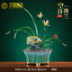 漢臻唐璽（HONZONTX）高端蘭花銅擺件客廳高檔辦公室送領(lǐng)導(dǎo)大氣裝飾工藝品喬遷新居禮物 蘭花銅擺件