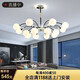 強盾 吊燈客廳燈LED餐廳吊燈現(xiàn)代簡約創(chuàng)意大氣三室兩廳燈具套餐燈具 12頭-黑色款-寬100CM--三色變光