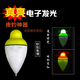 重力感應電子漂 夜光大肚漂海竿漂拋竿漂大頭魚(yú)漂發(fā)光浮漂醒目鰱鳙夜光漂 二只裝50g【咬鉤變色款】