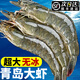 榕毅鮮生蝦大蝦鮮活速凍海鮮水產(chǎn)鮮活特大黑虎蝦基圍蝦青島大海蝦白蝦海蝦 1500g(凈重)  22-17cm【蝦王級2030規(guī)格無冰】