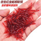 馨護士仿生蚯蚓通殺魚(yú)餌紅蟲(chóng)餌料鯽魚(yú)鯉魚(yú)草魚(yú)釣餌黑坑野釣魚(yú)食假餌漁具 仿真蚯蚓20條【袋裝】
