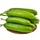 京地達山東水果小黃瓜  凈重5斤 單果100g+ 現摘新鮮蔬菜源頭直發(fā)包郵