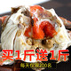 【拍1斤送1斤】青島鮮活梭子蟹萊州螃蟹超大飛蟹公蟹白蟹海鮮禮盒