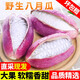 甜果源 八月瓜鮮果 貴州新鮮水果羊卵坨炸野果網(wǎng)紅九月黃八月果預(yù)知子 凈重3斤精選果【單果150-200g】