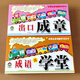 適用于兒童識字卡無圖認(rèn)字3-6歲寶寶早教啟蒙成語卡片識圖幼兒園3000字 【2盒】成語小學(xué)堂+出口成章(成語)