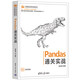 Pandas通關(guān)實(shí)戰(zhàn)（計(jì)算機(jī)技術(shù)開發(fā)與應(yīng)用叢書）