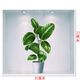 三聯(lián)立體綠植貼畫仿真3d多肉臥室門貼房門裝飾玻璃貼紙?jiān)∈覊Ρ谘a(bǔ) 綠葉進(jìn)寶盆景貼畫