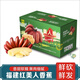 南步福建紅美人香蕉 土樓特產(chǎn)紅皮高山自然熟芭蕉小米粉蕉新鮮水果 5斤 精品紅香蕉