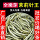 樓色2025年新日期特選茉莉茶王濃香茉莉花茶白毫毛尖銀針茉莉銀針花茶 銀針250克