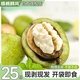 核桃鮮風(fēng)鮮核桃仁2025年新鮮新疆185薄皮大核桃孕婦專(zhuān)用免剝殼去皮濕核桃 25包裝【450g】