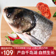 好拾味千島湖生態(tài)大花鰱魚(yú)頭去鱗去鰓冷凍食材生鮮魚(yú)類(lèi)剁椒魚(yú)頭胖頭魚(yú) （凈膛）2.4-3斤/2片裝鰱魚(yú)頭