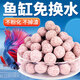 派樂(lè)特 魚缸中空石英球過(guò)濾材料細(xì)菌屋硝化培菌球桶龜缸生化石水族箱