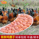 桃李旺（taoliwang）雞腰子 散養(yǎng)中號雞子 新鮮公雞蛋 雞春子 公雞睪丸 精挑大顆雞卵 【大號約1kg】新鮮雞腰子（偏大
