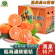 南步浙江臨海涌泉蜜桔 臺州特產(chǎn)黃巖蜜桔無(wú)籽甜橘子吃桔帶皮水果禮盒 5斤裝 精選小果【單果50-60mm】