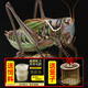 新脫蟈蟈活蟲(chóng)帶籠子飼料高端寵物鳴蟲(chóng)過(guò)冬大蟈蟈郝建偉鐵皮叫蟈蟈 中號(hào)綠蟈蟈1只+雕花木籠+2盒飼L