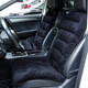 笨斯基 汽車(chē)坐墊冬季毛絨保暖車(chē)墊棉坐墊冬天加厚小蠻腰汽車(chē)座墊座套 黑色 前排單個(gè)座椅