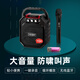 愛(ài)歌貴州小蓉兒s28無(wú)線(xiàn)藍牙音箱戶(hù)外k歌麥克風(fēng)話(huà)筒唱歌便攜式廣場(chǎng)舞音響低音炮小型家用家庭ktv播放器 無(wú)線(xiàn)版+U段單話(huà)筒+歌曲U盤(pán)