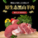 頂耀現殺新鮮黑山羊腿肉羊排火鍋煲湯燒烤食材生鮮散養(yǎng)無膻味 羊腿肉4斤