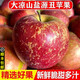 玫梔 大涼山鹽源蘋(píng)果冰糖心蘋(píng)果野丑蘋(píng)果西昌新鮮水果非新疆蘋(píng)果 9斤85mm-90mm